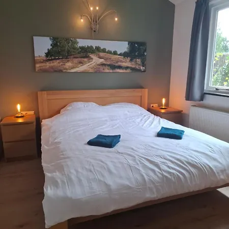 Modern Veluwe With Private Garden - Forest And Sauna Nearby Chalet