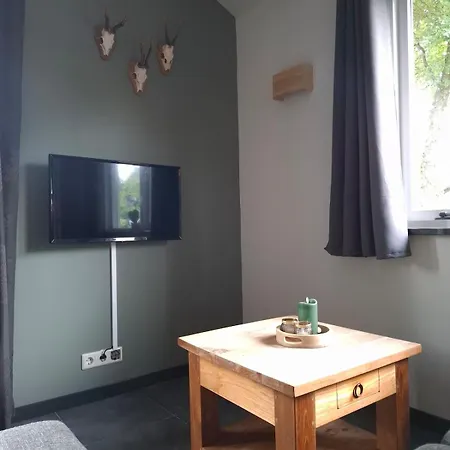 Modern Veluwe With Private Garden - Forest And Sauna Nearby Chalet Putten