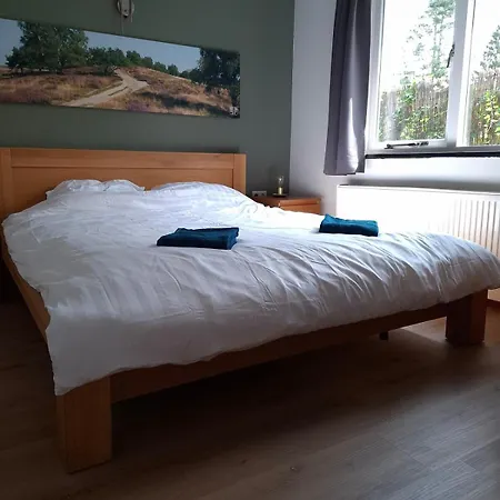 Modern Veluwe With Private Garden - Forest And Sauna Nearby Chalet *