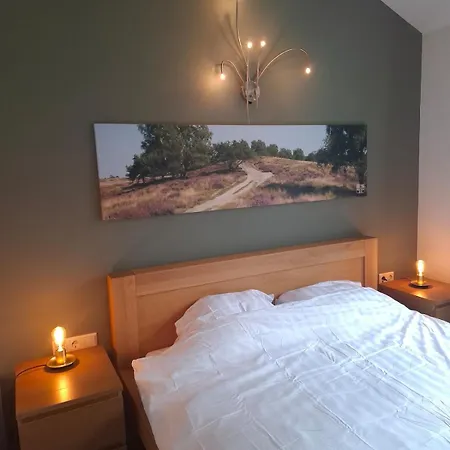 Modern Veluwe With Private Garden - Forest And Sauna Nearby Chalet Putten