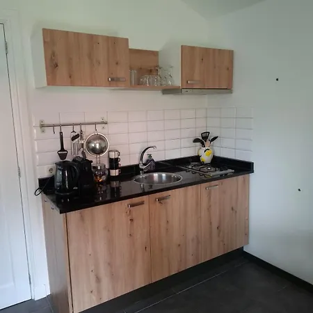 Modern Veluwe With Private Garden - Forest And Sauna Nearby Chalet Putten