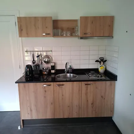 Modern Veluwe With Private Garden - Forest And Sauna Nearby Chalet