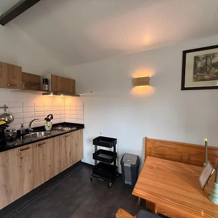 Modern Veluwe With Private Garden - Forest And Sauna Nearby * Putten