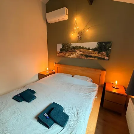 Modern Veluwe With Private Garden - Forest And Sauna Nearby Chalet *
