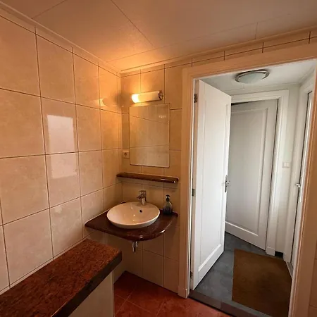 Modern Veluwe With Private Garden - Forest And Sauna Nearby Chalet