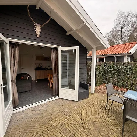 Modern Veluwe With Private Garden - Forest And Sauna Nearby *