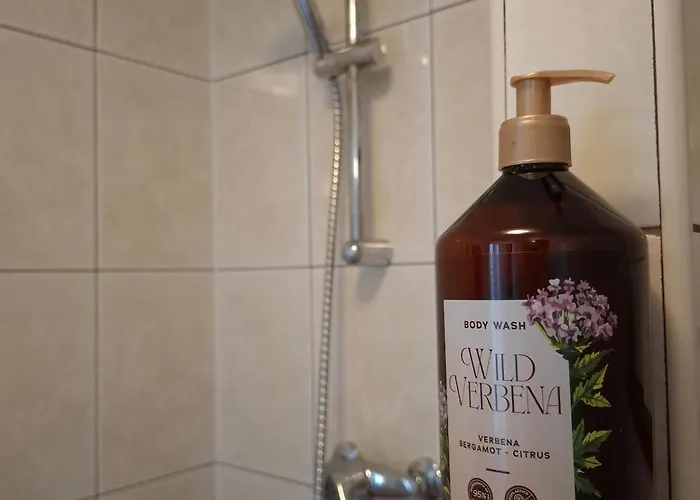 木屋 Fijn Dicht Bij 皮滕